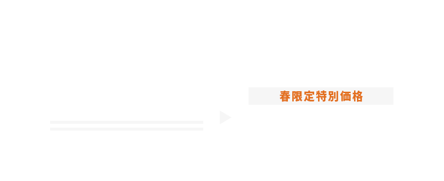 2025年春限定価格